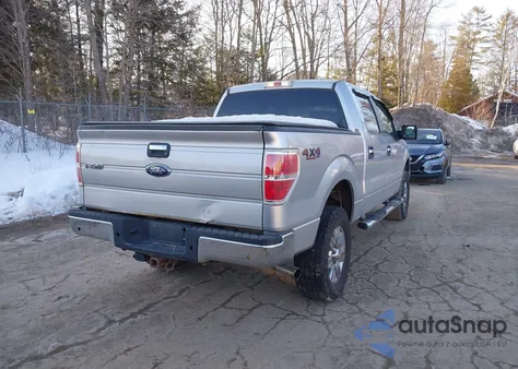 2009 Ford F-150 Fx4/King Ranch/Lariat/Platinum/Xl/Xlt from USA, damaged, VIN 1FTPW14V59FA39525